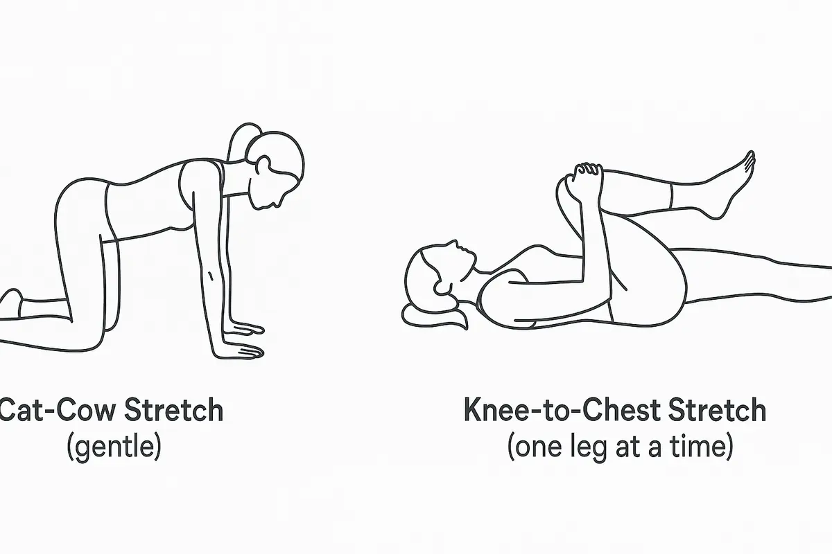 Stretches
