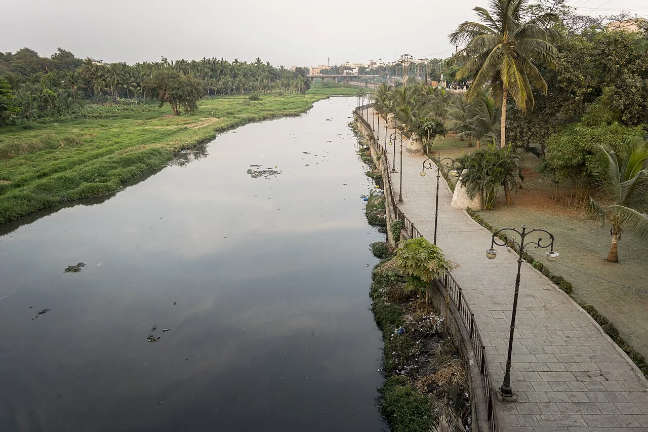 Stagnant Water Breeding Ground