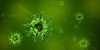 Viral fevers in the Monsoon season | Attapur — FAQs & precautions